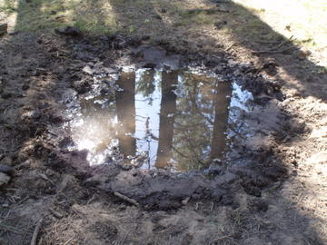 mud+puddle.jpg