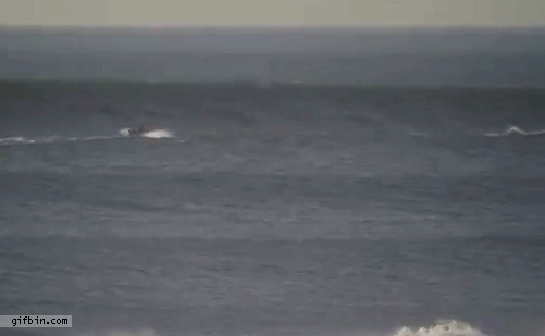 1377796036_boat_vs_big_wave.gif