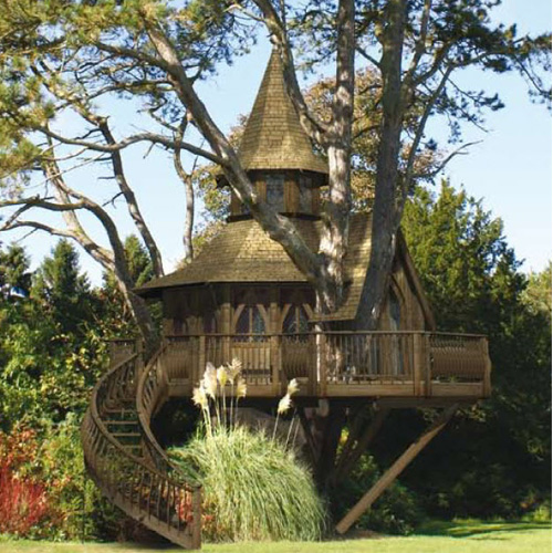 beautiful-tree-house.jpg