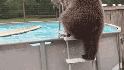 75180c6217e0bed133d1ba99867ac0d1.gif