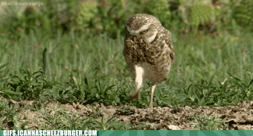 stick-the-landing