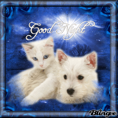 0dfe935a58ce062bded334c69b7d6070.gif