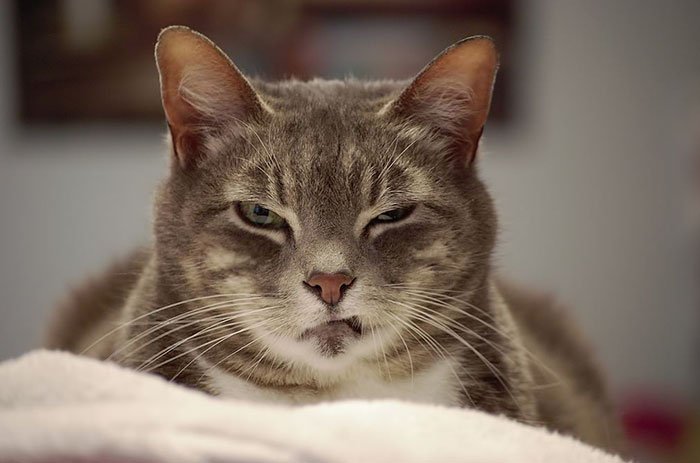angry-2.jpg