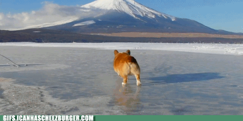 qRJF9PFdY0m5R7mEjpDpMA2.gif