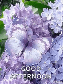 14a11d6c8faa91f42b6d950073e7febc.gif