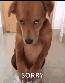 f8d89820cc3c37fe4fa661316c9effac.gif
