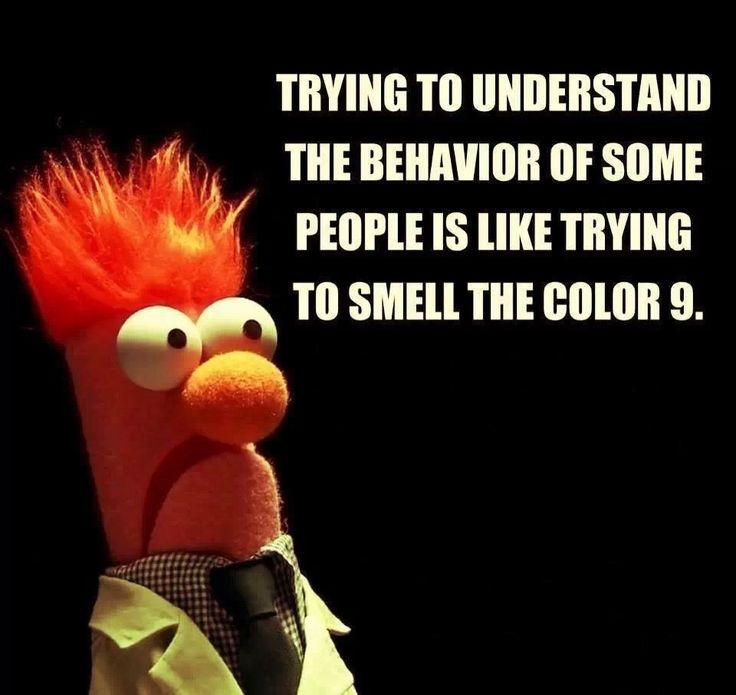 23209d21f0fdc51b5108c722de78fbca.jpg