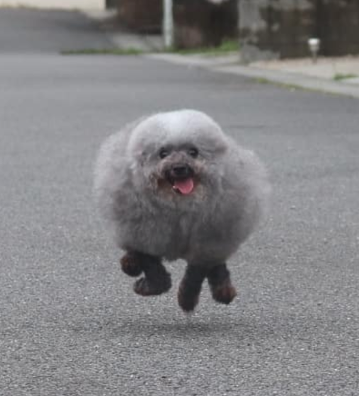 kRJoYZF.png