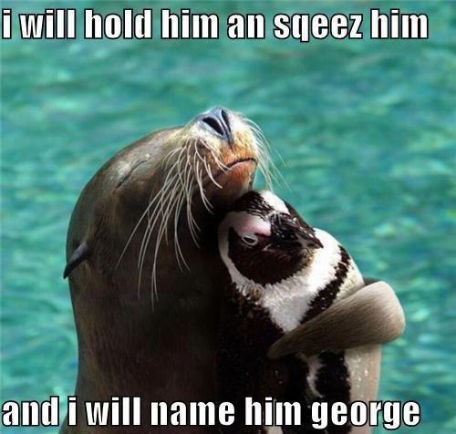 funny-animals-pics-jokes.jpg