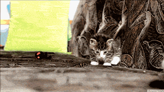 9UeOwBg.gif