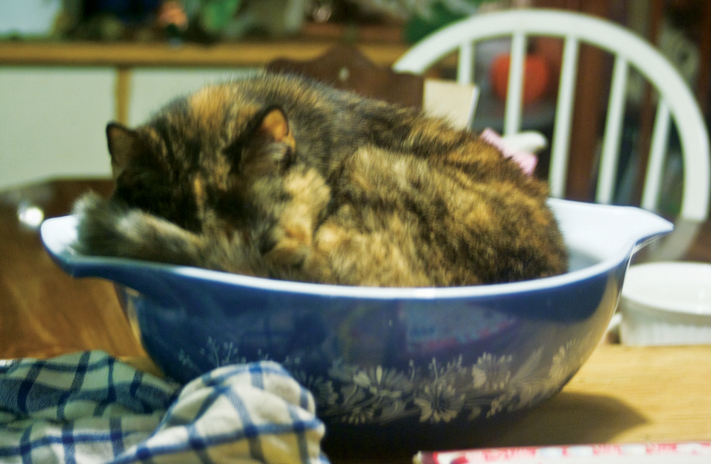 122311-CookieMixingBowl1.jpg