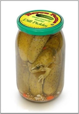 pickled_frog.jpeg