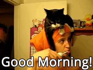gifs-good-morning-18.gif