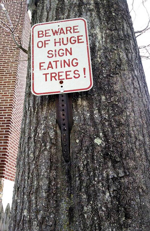 sign_beware-sign-eating-tree.jpg