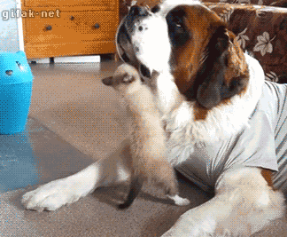 c37f9cef7c9b01703add6098a64cebad.gif