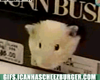 squishface
