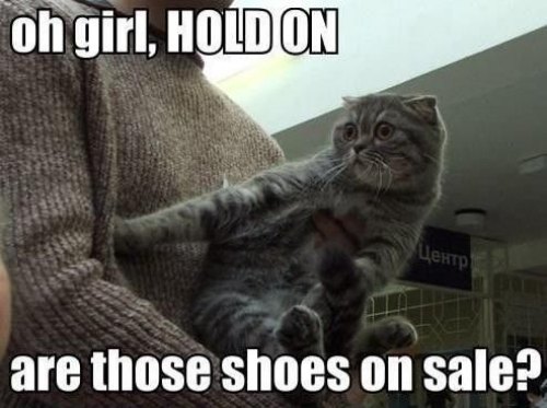 cute-captions-5.jpg