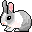 Little_rabbit_2.gif