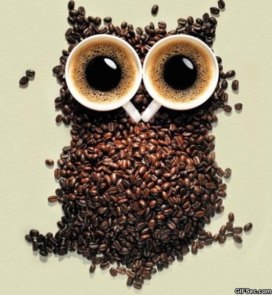 Coffee-Owl.jpg