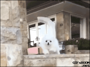 On9Q.gif