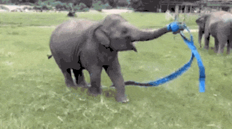 3dd.gif