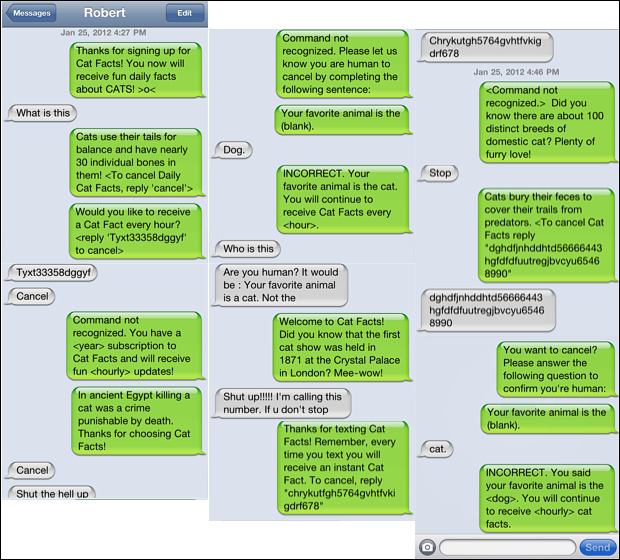 catfacts-text.jpg