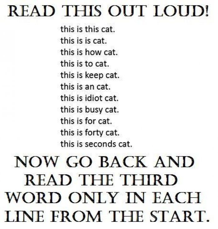 c9b822d60d77742ef929dd425fed5417--good-jokes-stupid-jokes.jpg
