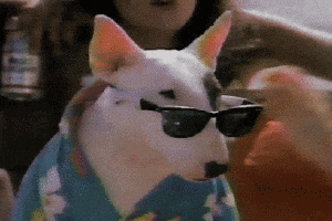 9TN6rAmSBK4SY.gif