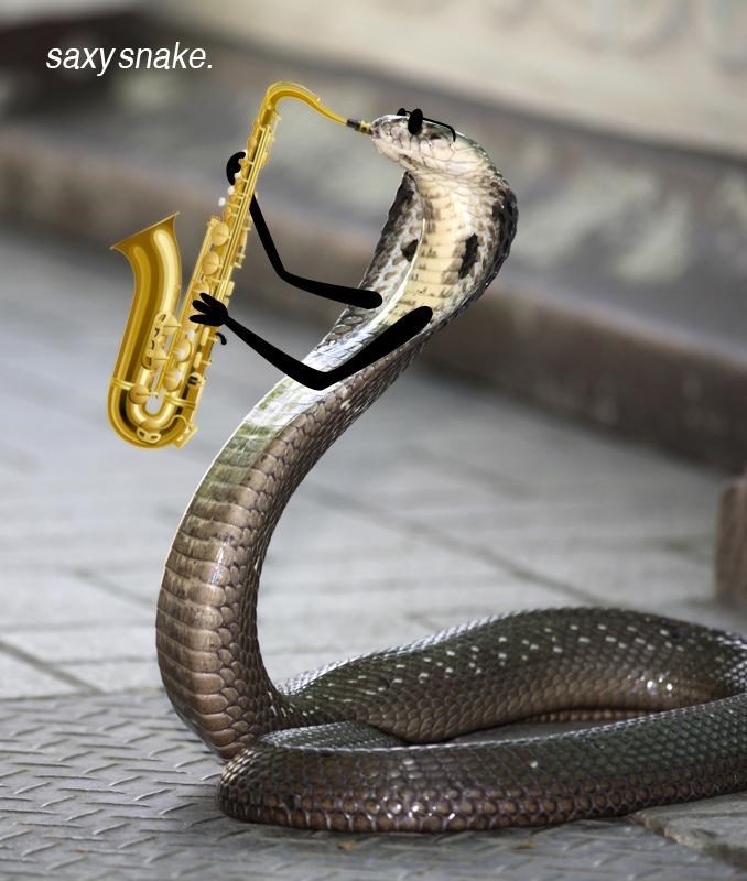 snake-saxy-snake