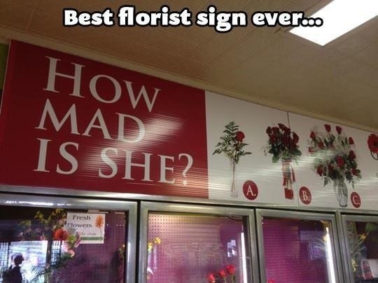 8b7465963190c5911d6b87bb084279af--flower-shops-florists.jpg