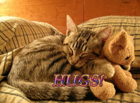 hugs4.jpg