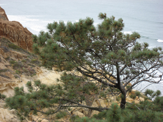 LMP_IMG0039.JPG