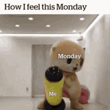 monday-relatable.gif