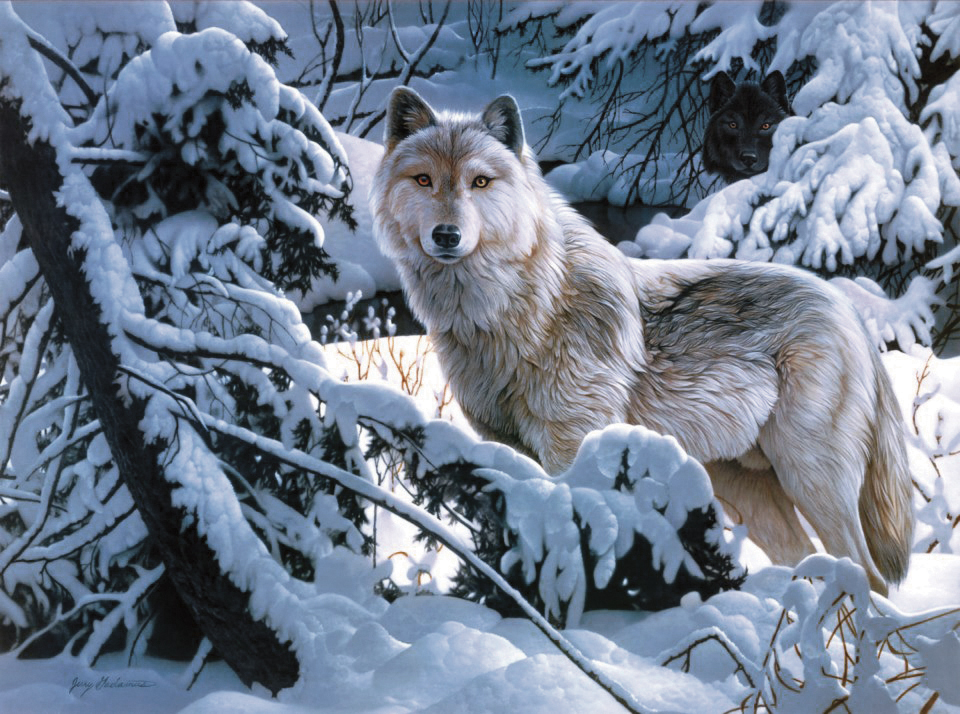 Wolf.jpg