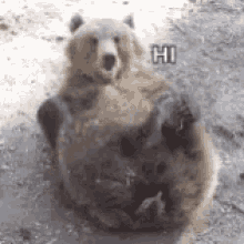 hi.gif