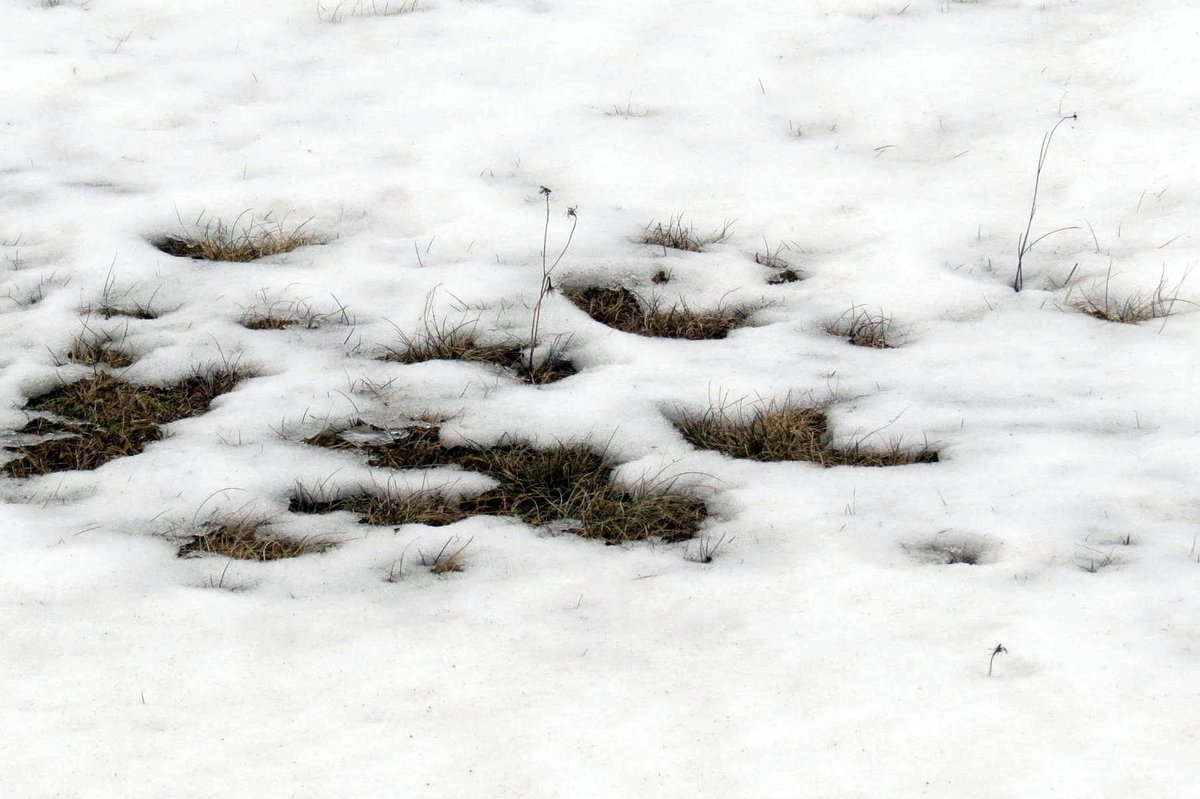 1-snow-melt.jpg
