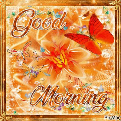 61b16c0952f220b60a1c3fda8fe42409.gif