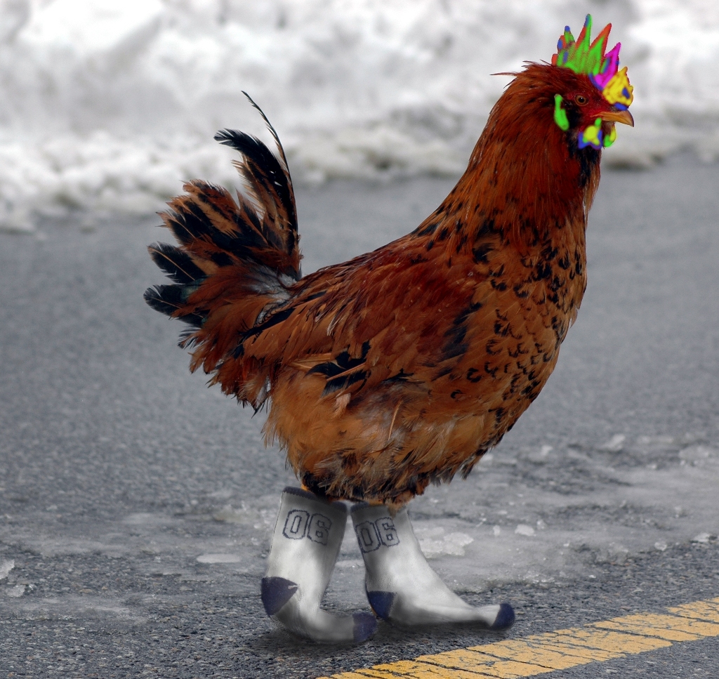 chickensox-redux.jpg