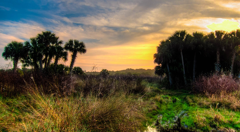 IMG_0175hdr-L.jpg
