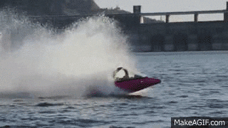 giphy.gif