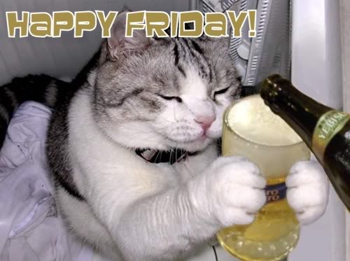 Happy-Friday-cat.jpg