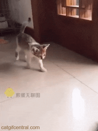 665af544be99d04f057fad2e3523884d.gif