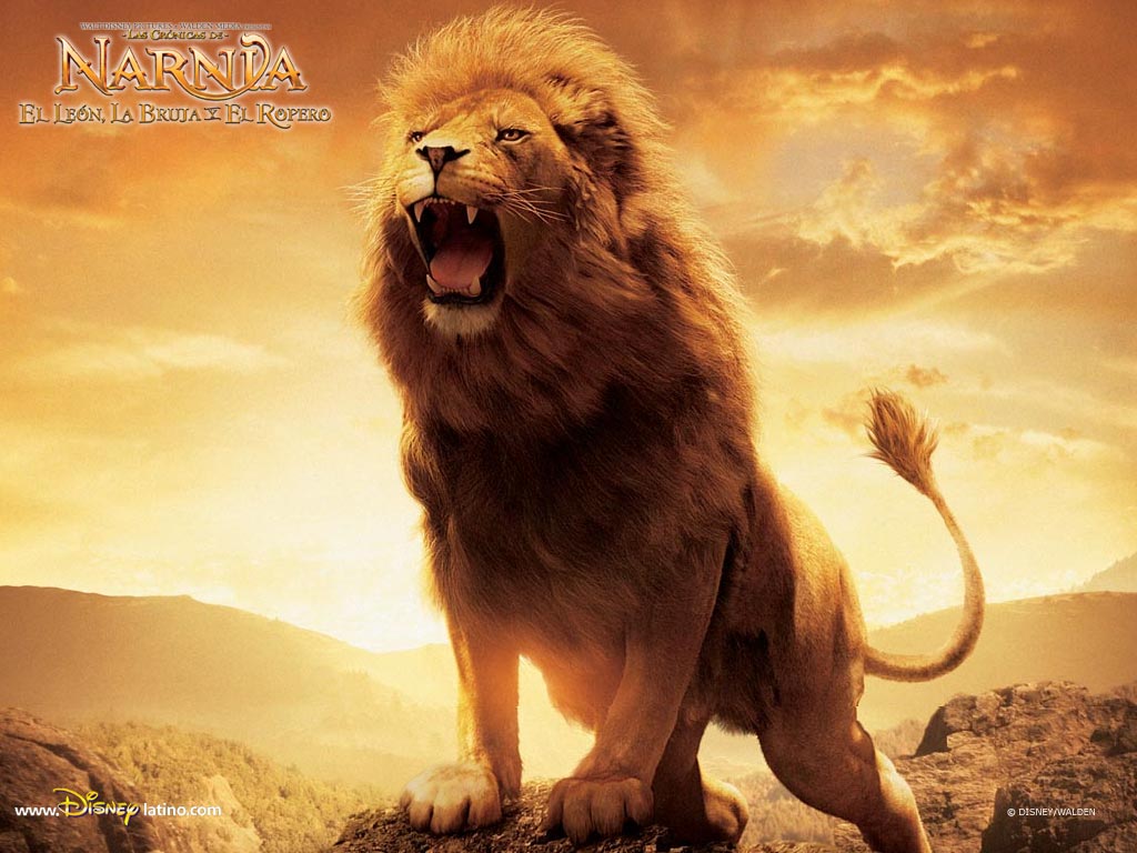 Aslan-Lion-2-The-Chronicles-of-Narnia-Wallpaper.jpeg