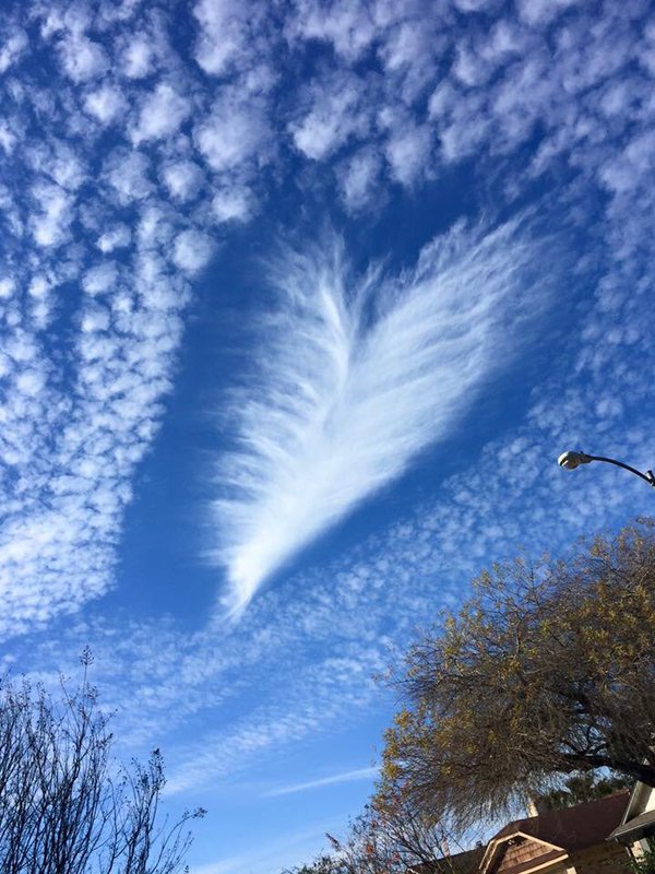 heart-shaped-fallstreak-hole-houston.jpg