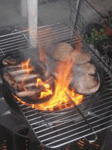 lunch-bbq.gif