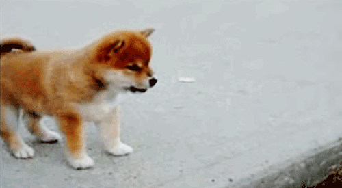 NknFdyJ.gif