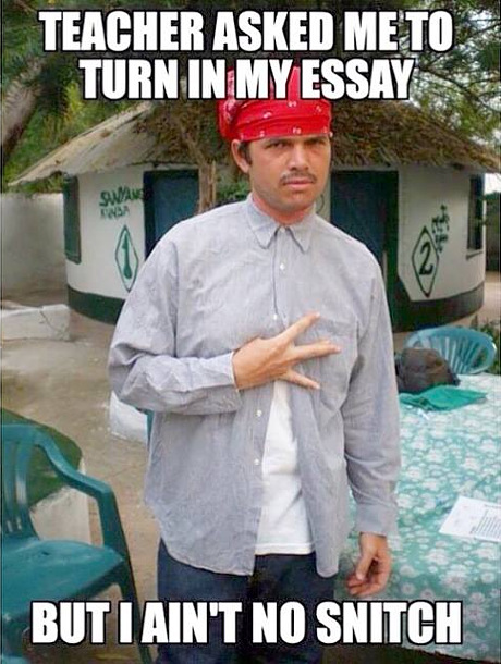 wont-snitch-on-essay.jpg