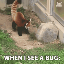when-i-see-a-bug-oops.gif