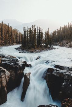 2476ce87160653fbdf8361f8da51c79c.jpg