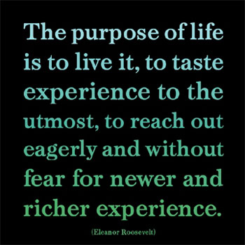life-purpose-poster-web.jpg
